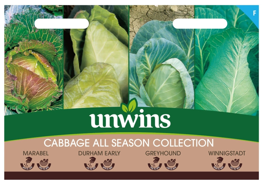 Unwins Cabbage All Season Collection Pack Seeds