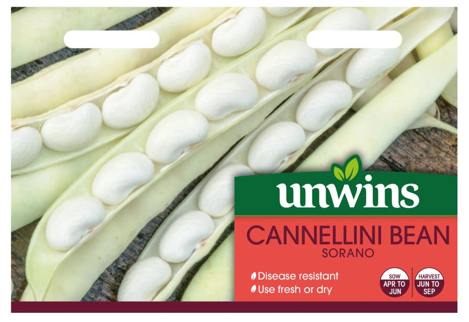 Unwins Cannellini Bean Sorano Seeds