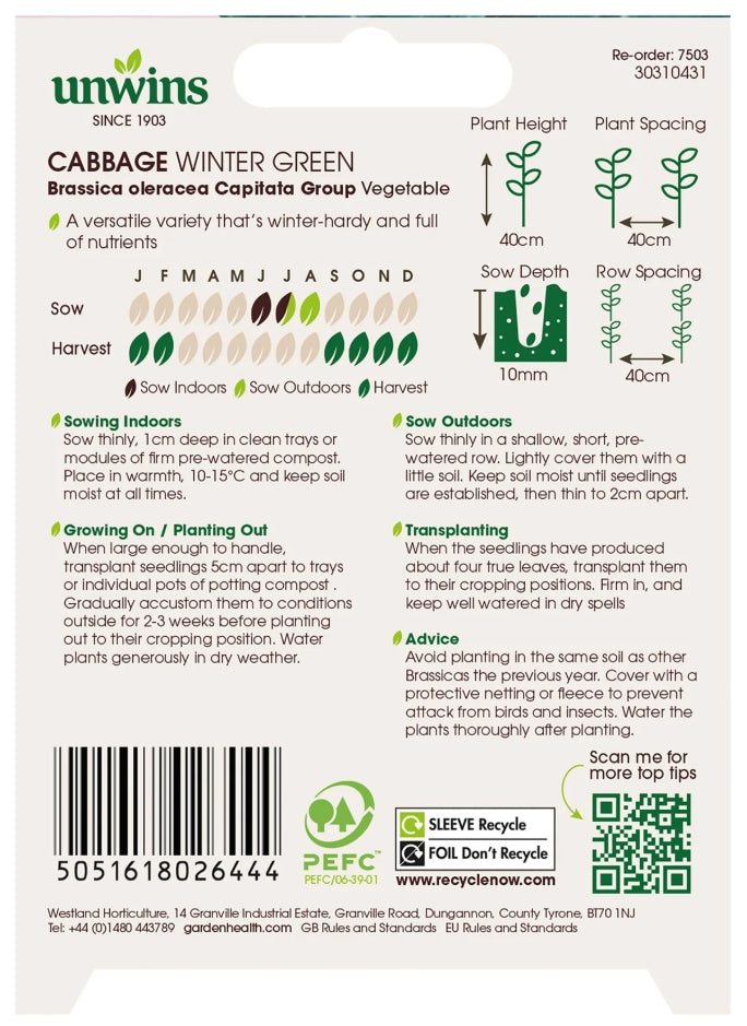 Unwins Cabbage Winter Green Seeds