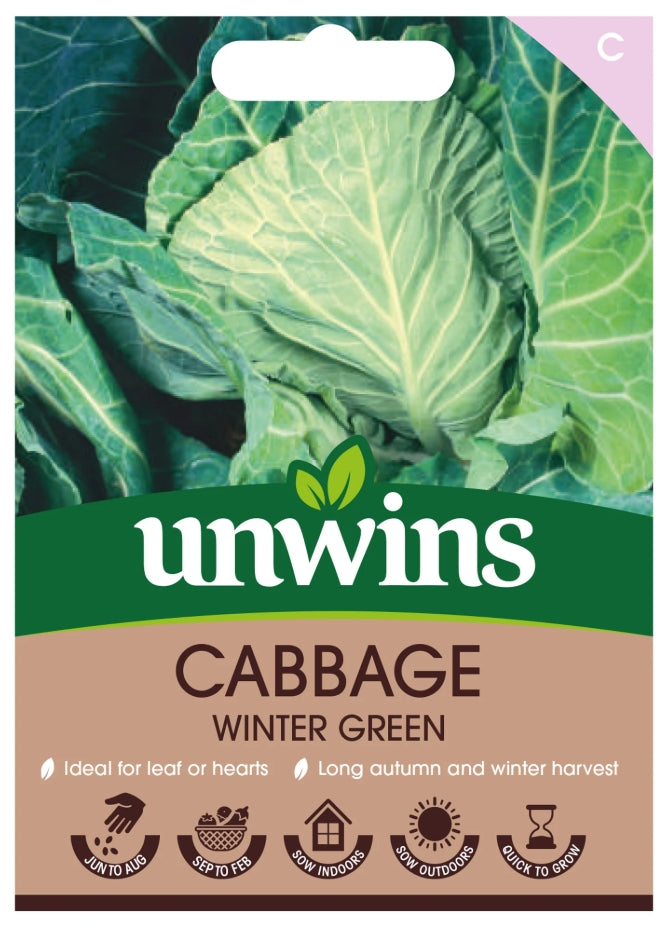 Unwins Cabbage Winter Green Seeds