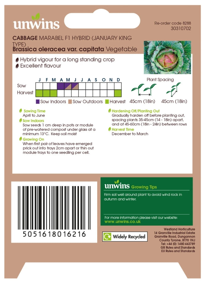 Unwins Cabbage Marabel F1 Improved January King Seeds