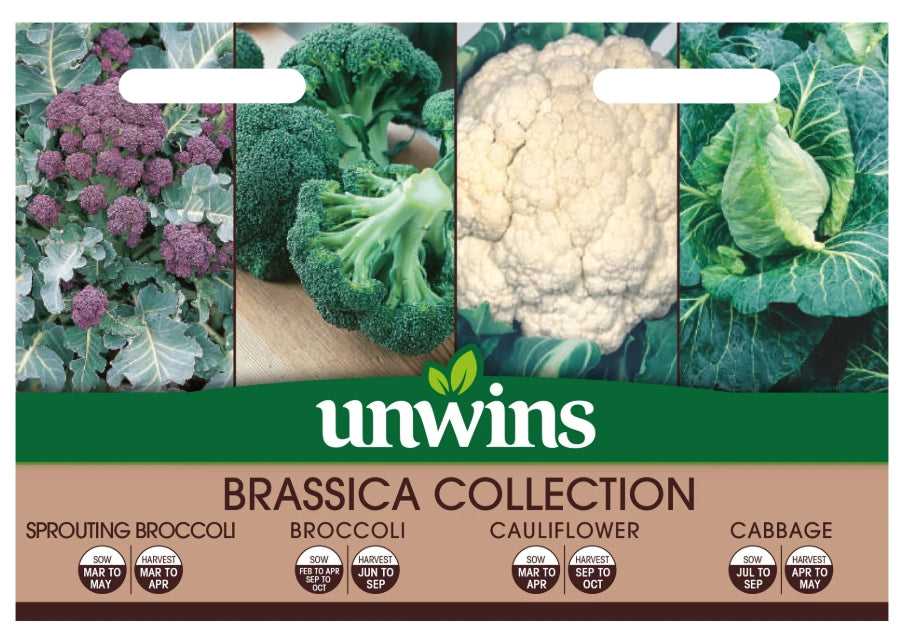 Unwins Brassica Collection Pack Seeds