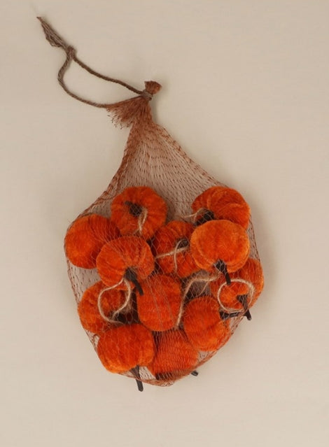 Gisela Graham Orange Velvet Mini Pumpkin Dec 12 Pack
