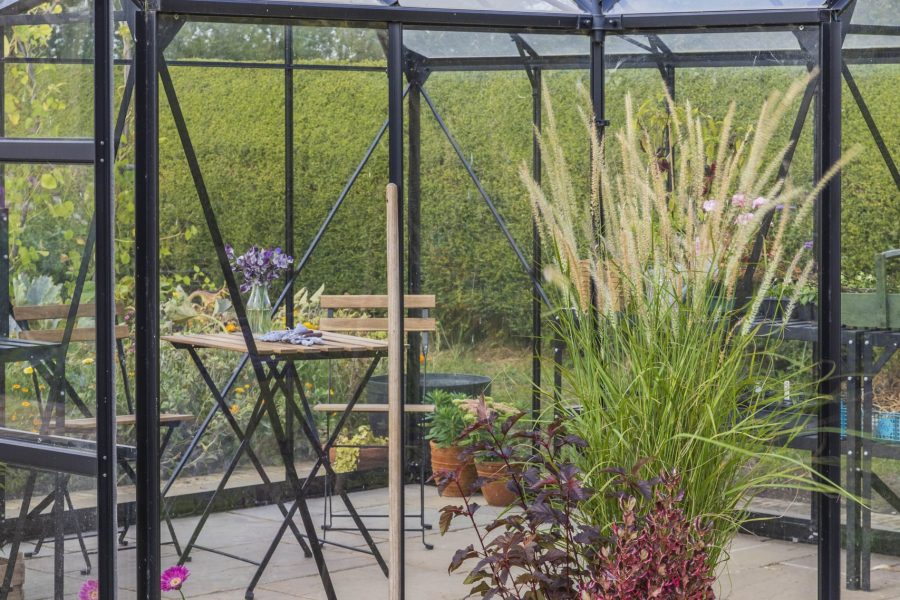 Vitavia Sirius 1300 Greenhouse