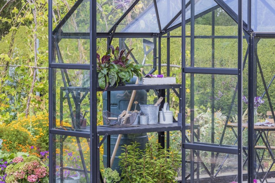 Vitavia Sirius 1300 Greenhouse
