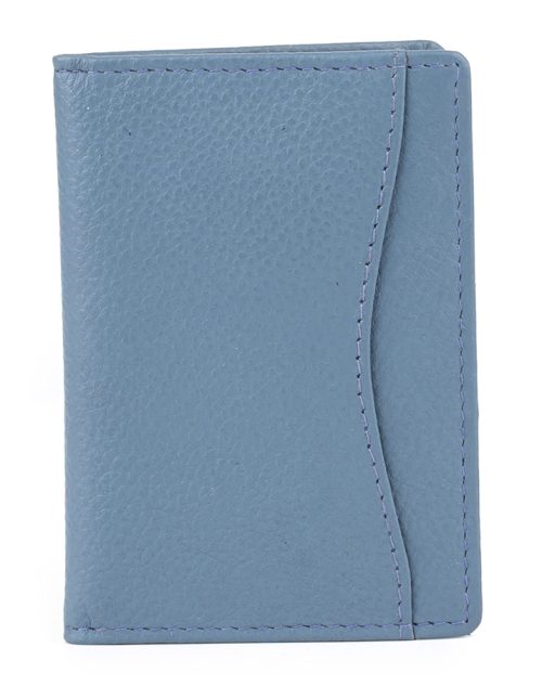 Golunski Travel Pass Holder Blue