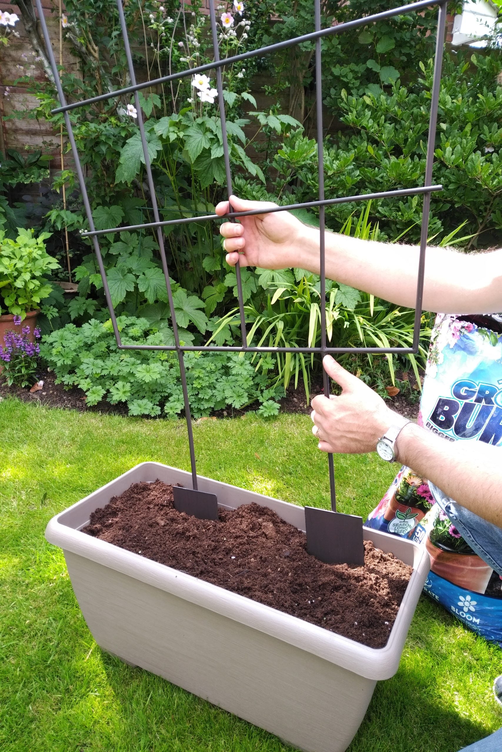 Treadstone Trough Trellis