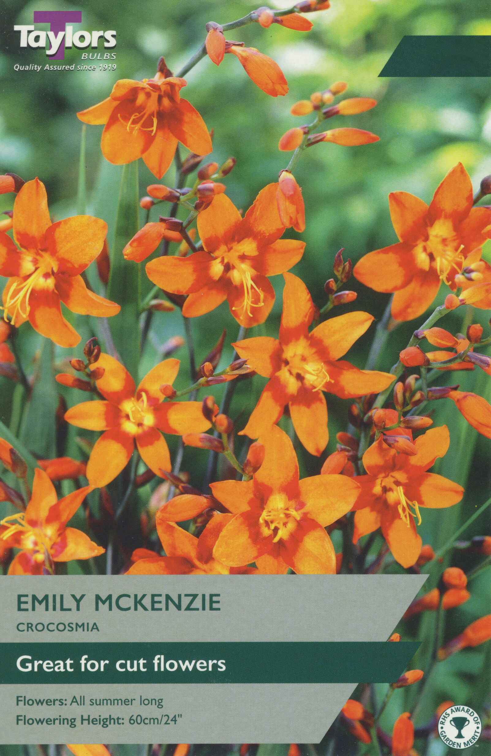 Taylor's Bulbs Crocosmia Emily Mckenzie