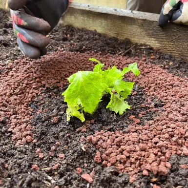 SlugClear Slug & Snail Barrier 2.5kg