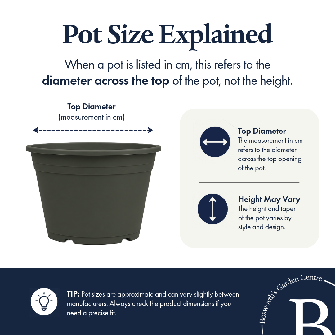 Vaso Grey Pot