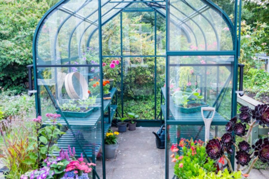 Vitavia Orion Greenhouse
