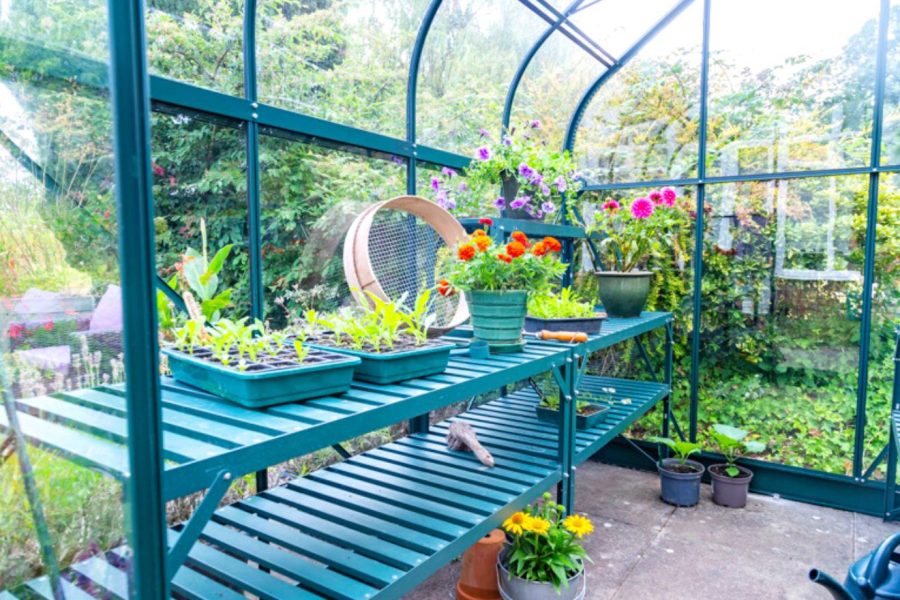 Vitavia Orion Greenhouse