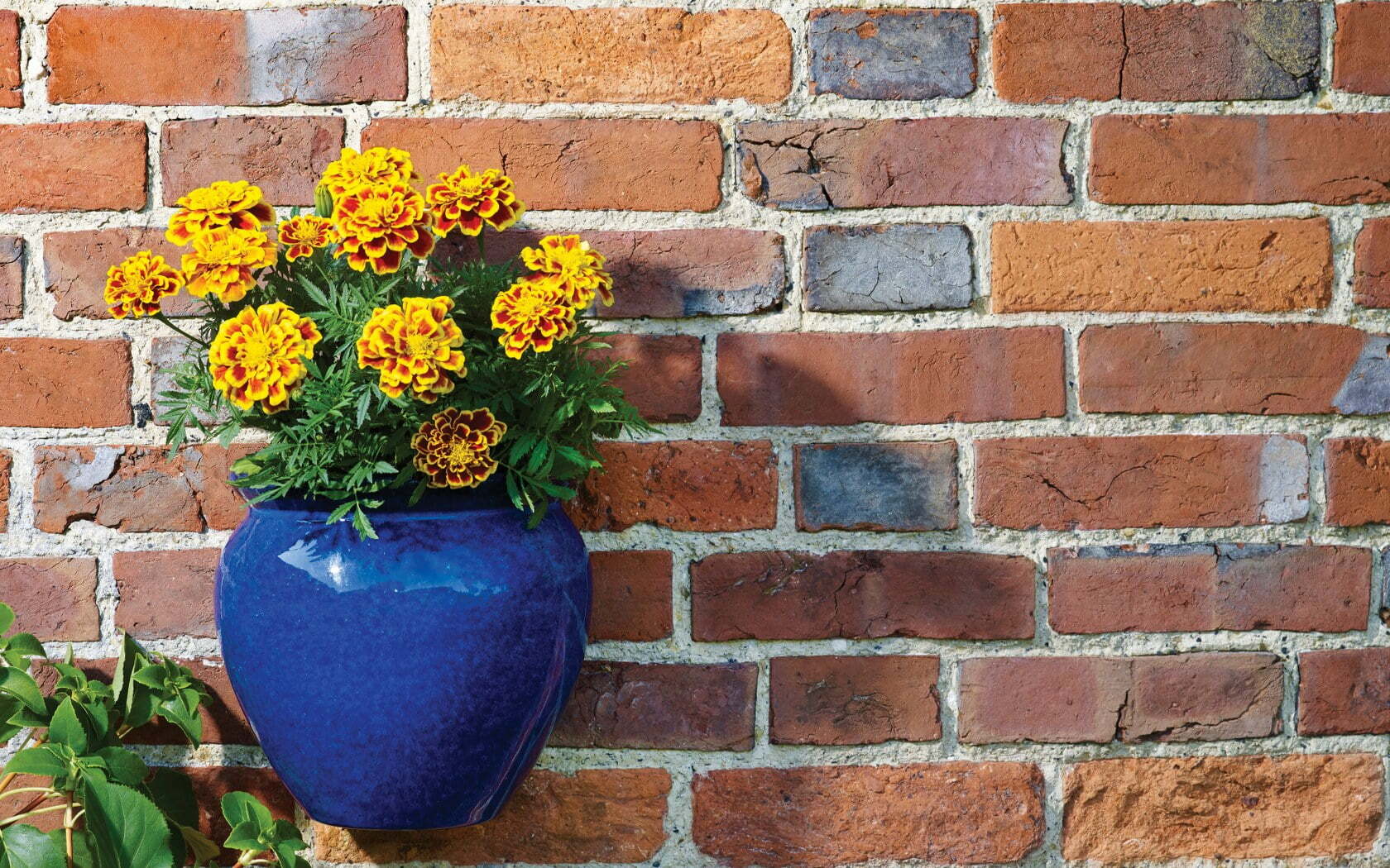 Apta Blue Glazed Jar Wall Pot