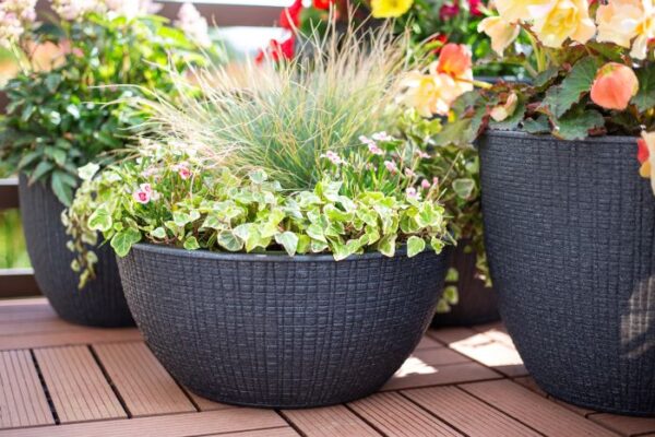 Apta Weben Bowl Black