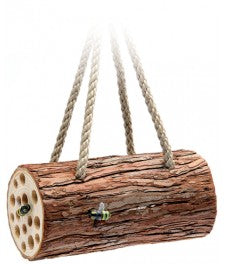 Tom Chambers Bee Log