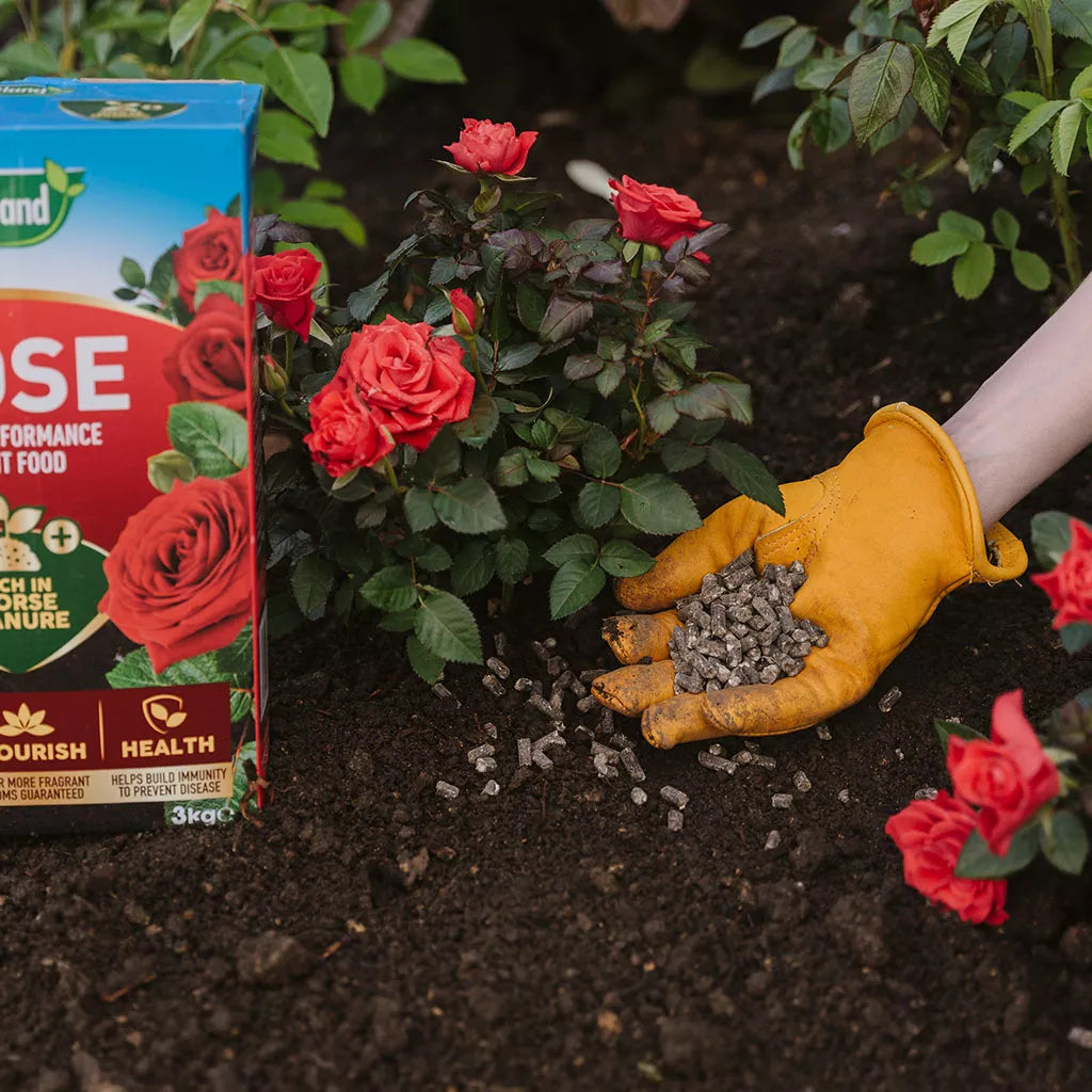 Westland Rose High Performance Plant Food 1kg