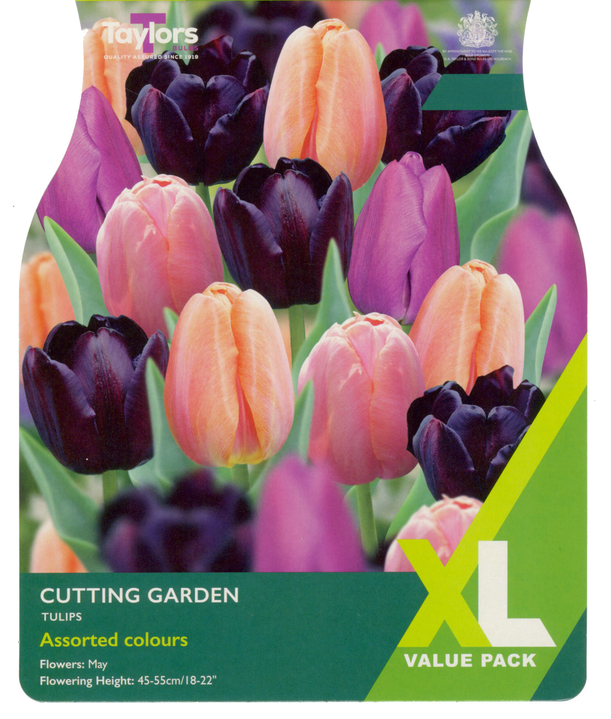Taylor's Bulbs XL Value Pack Tulip Cutting Garden