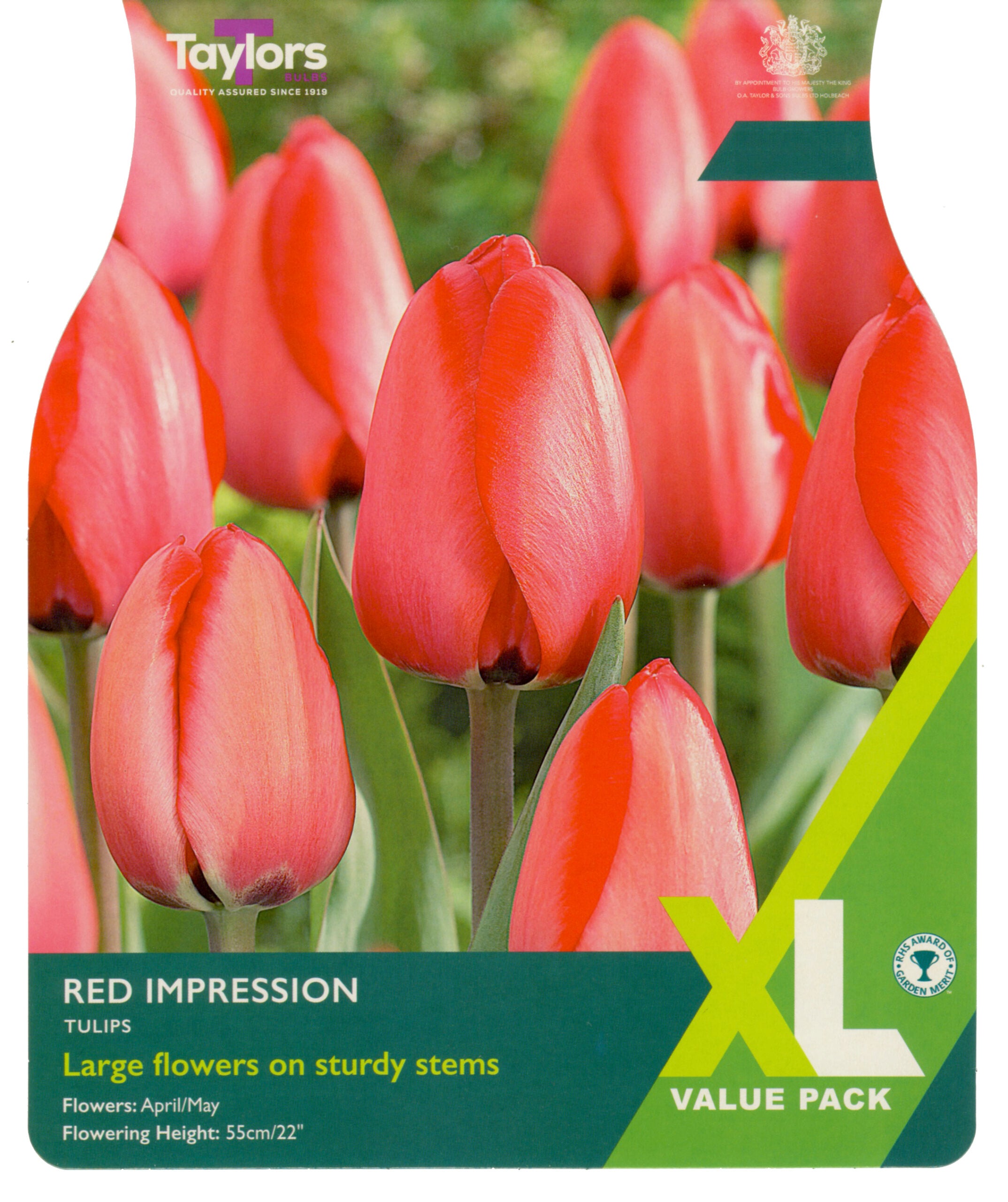 Taylor's Bulbs XL Value Pack Tulip Red Impression