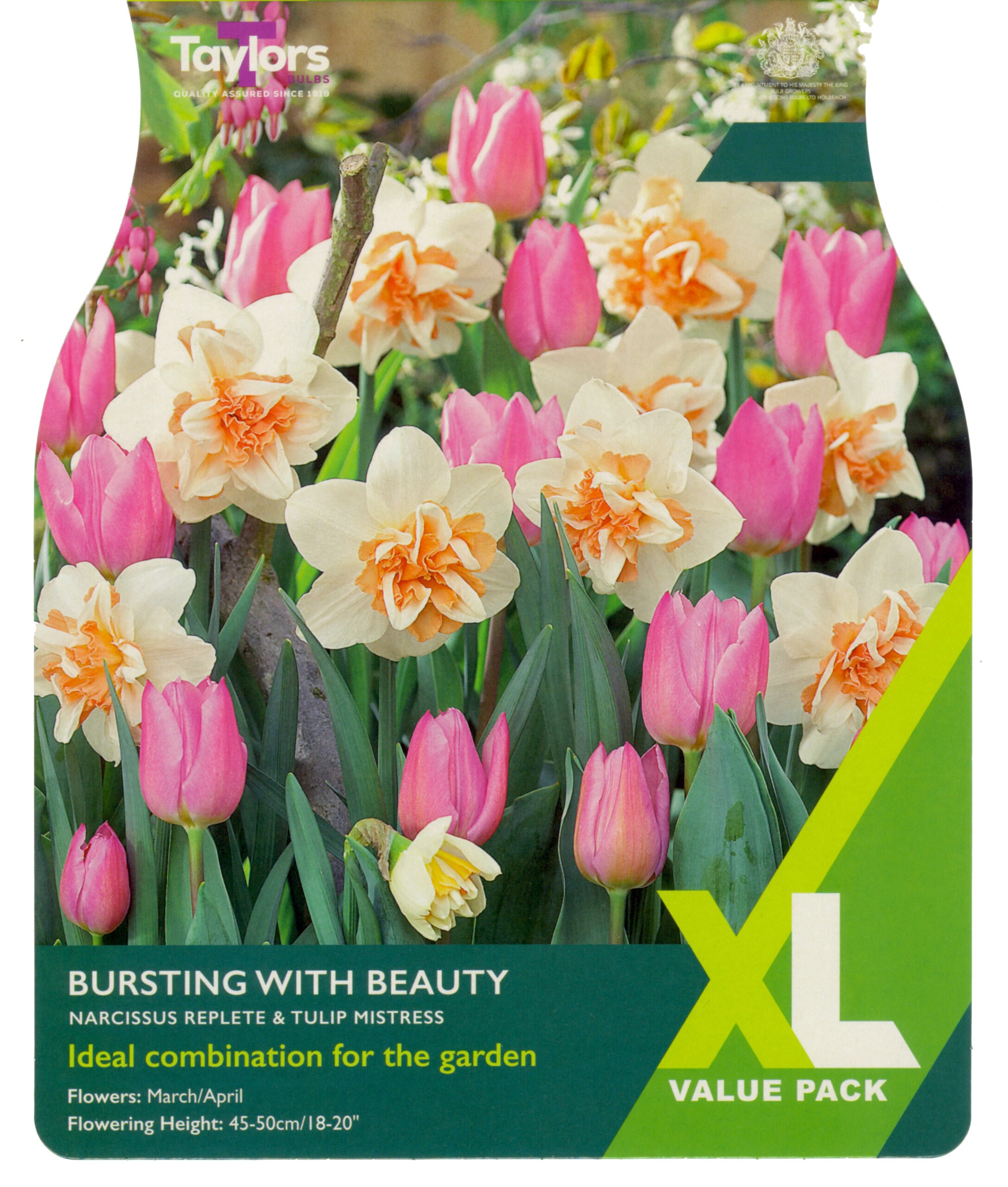 Taylor's Bulbs XL Value Pack Bursting With Beauty