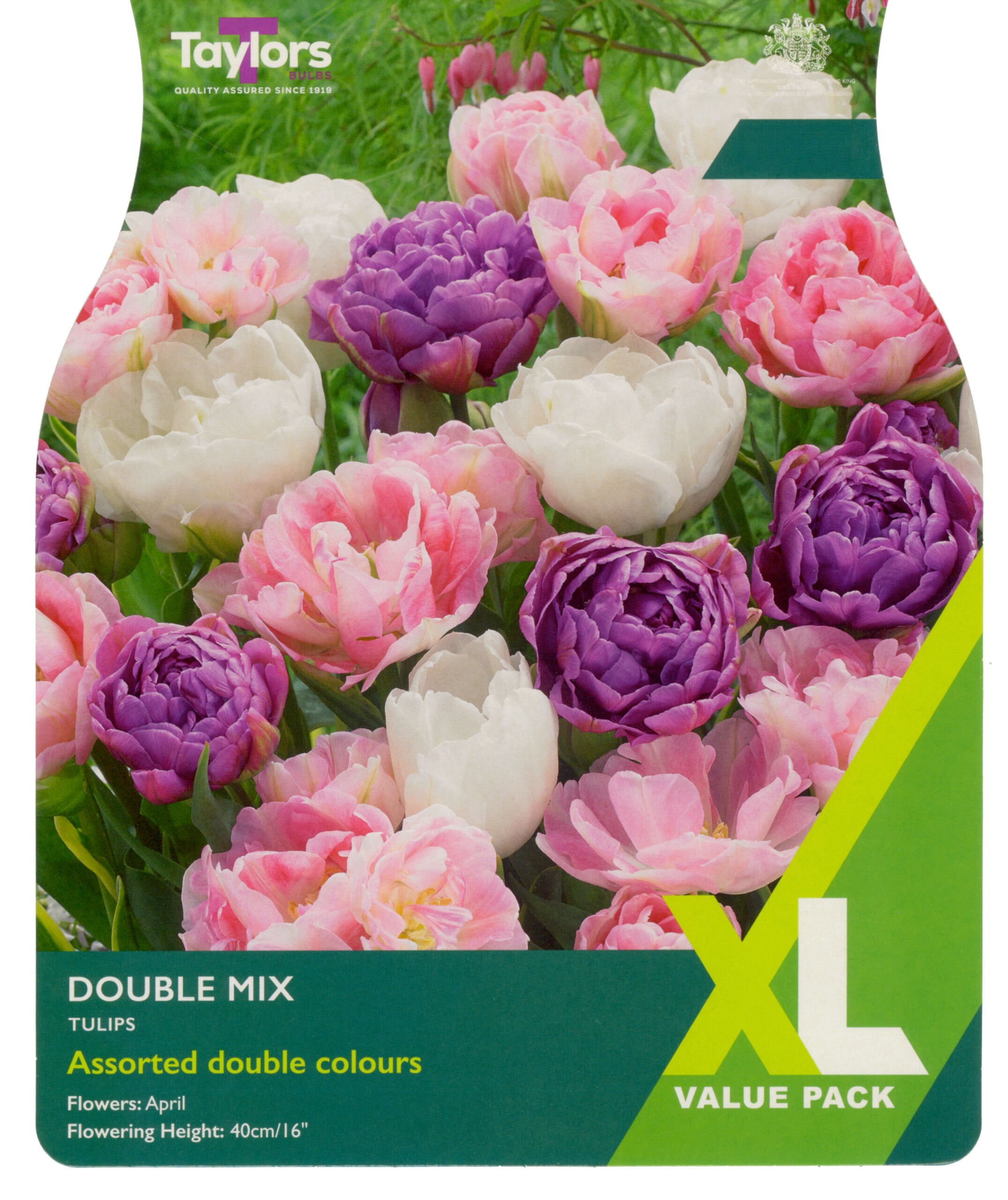 Taylor's Bulbs XL Value Pack Tulip Double Mix