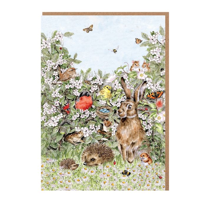 Wrendale Designs 'Hidden in the Hedgerow' Nature Notecard Pack