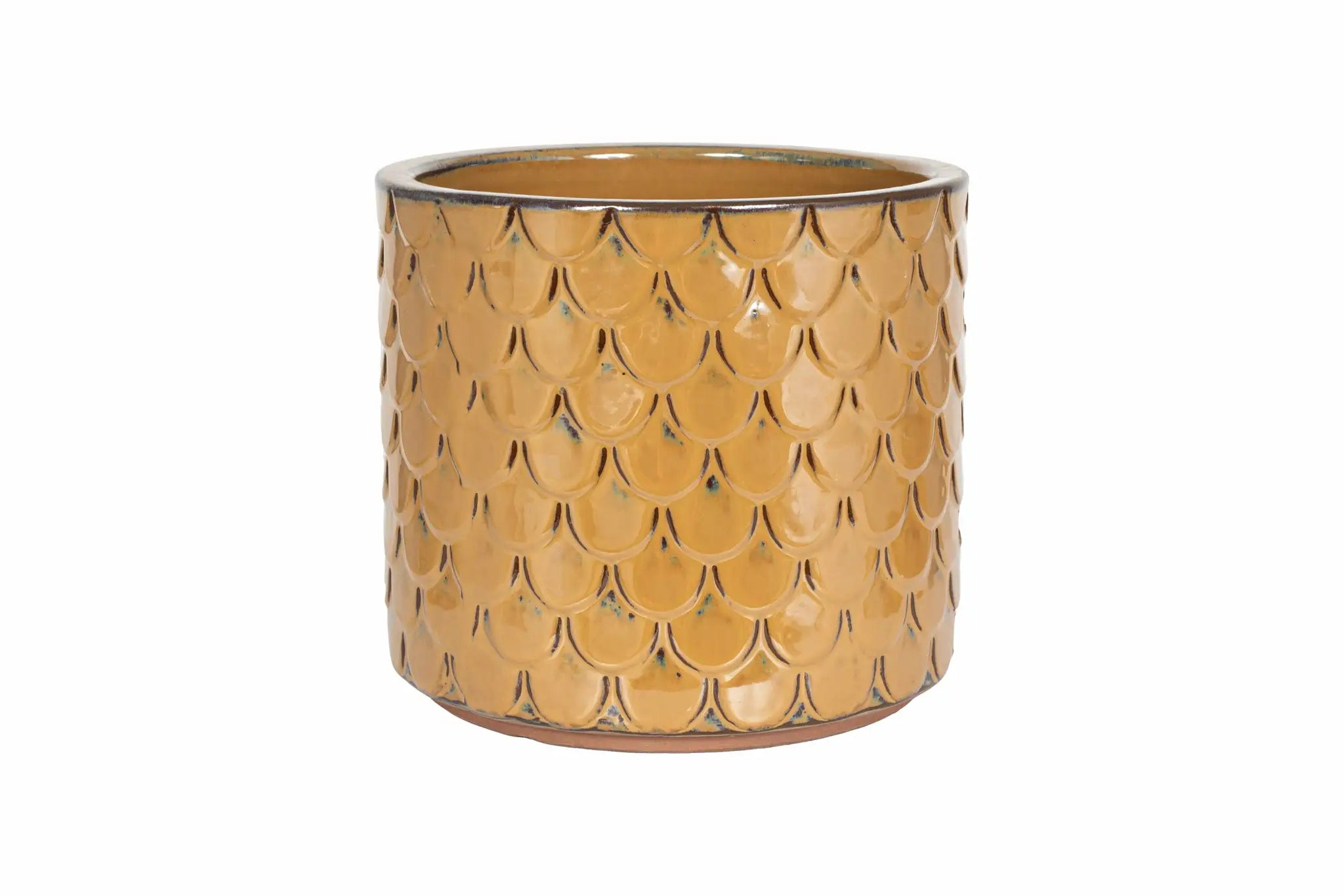 Apta Siren Cylinder Pot
