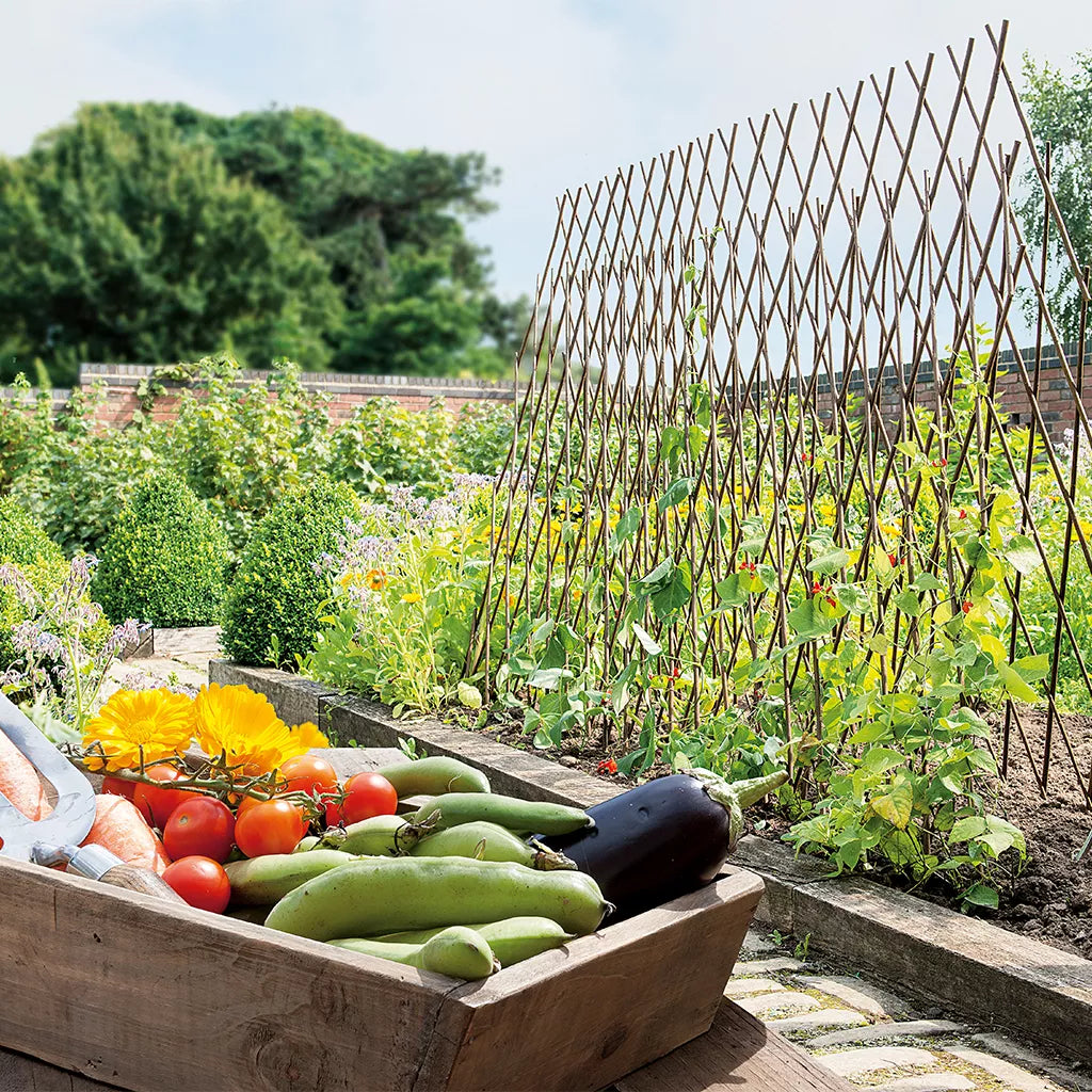 Grow It Bamboo Canes 10 Pack