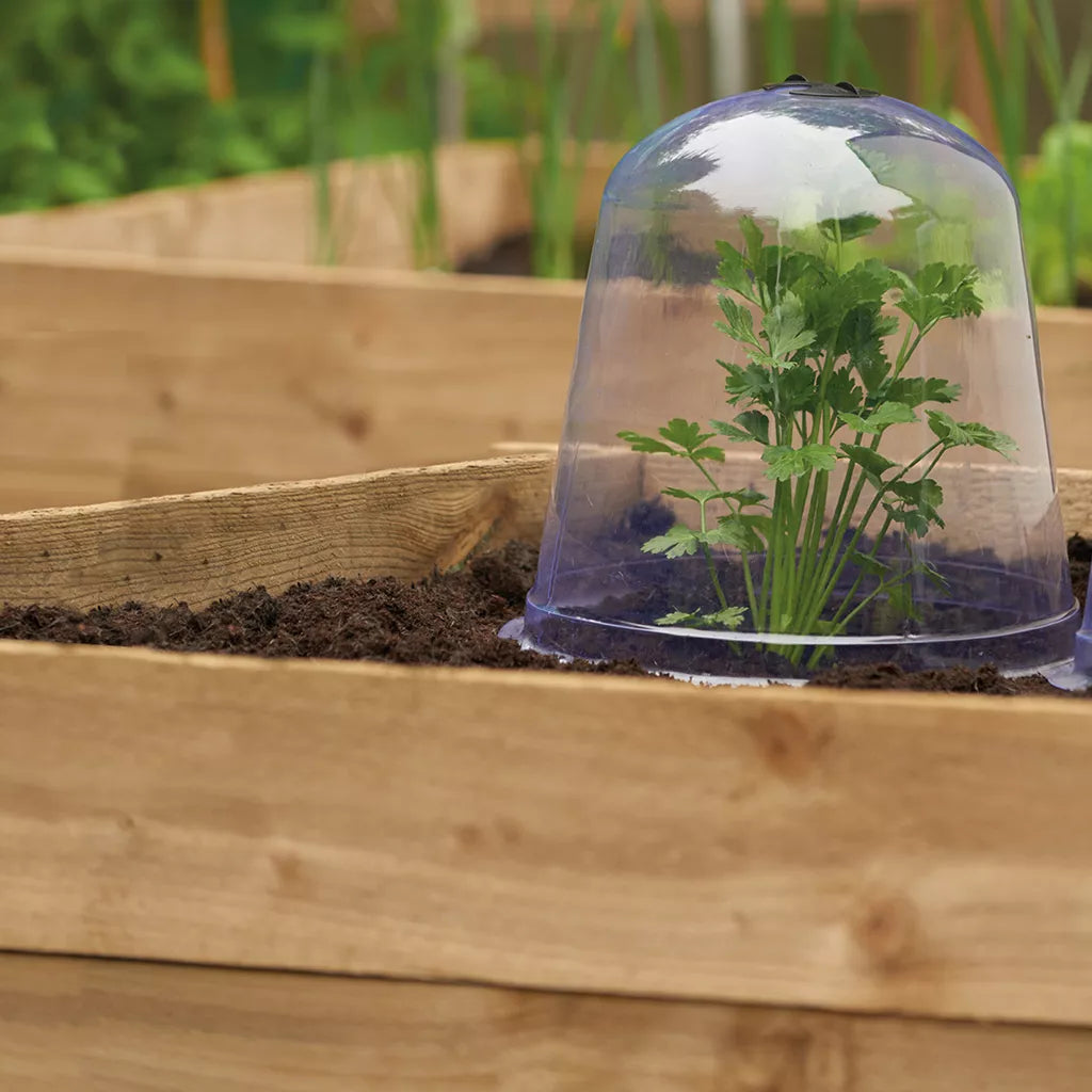 Grow It Bell Cloche 3Pk