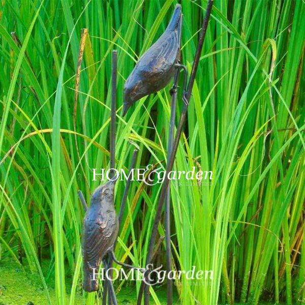 Home & Garden Birds on Reeds