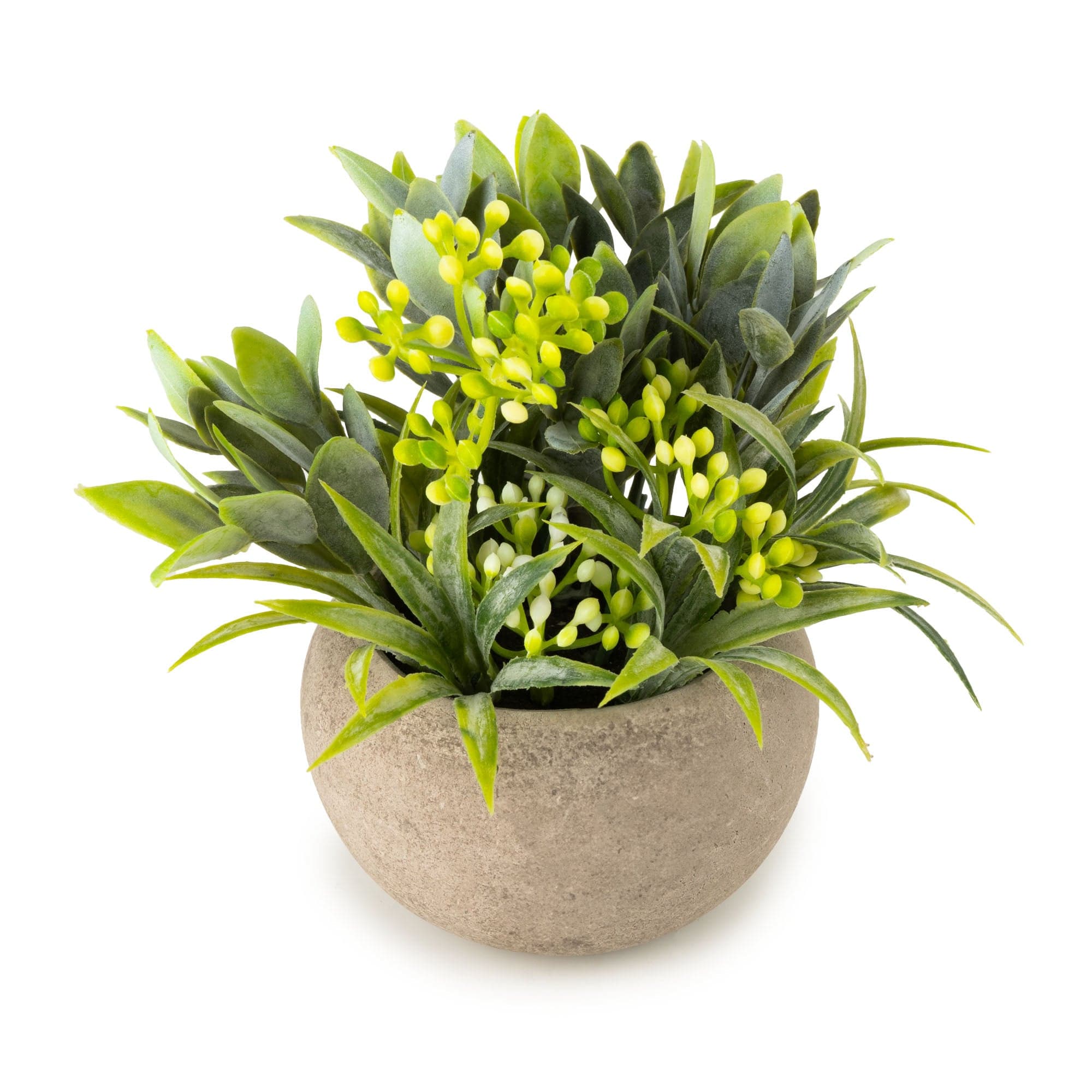 Candlelight 13.5cm Herb in Pot