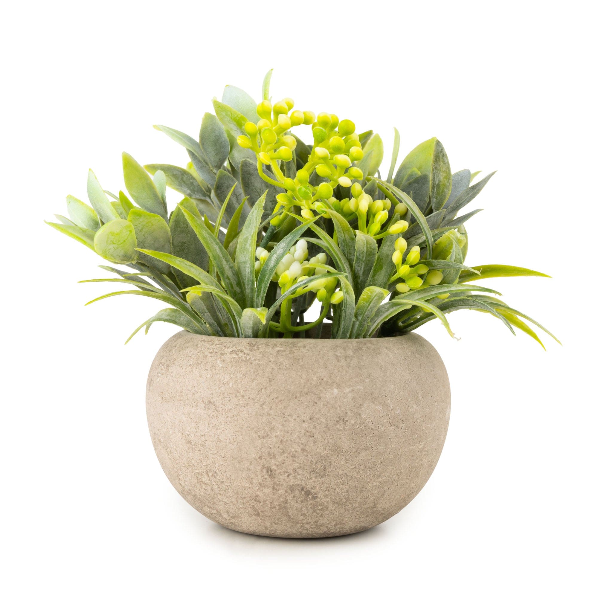 Candlelight 13.5cm Herb in Pot