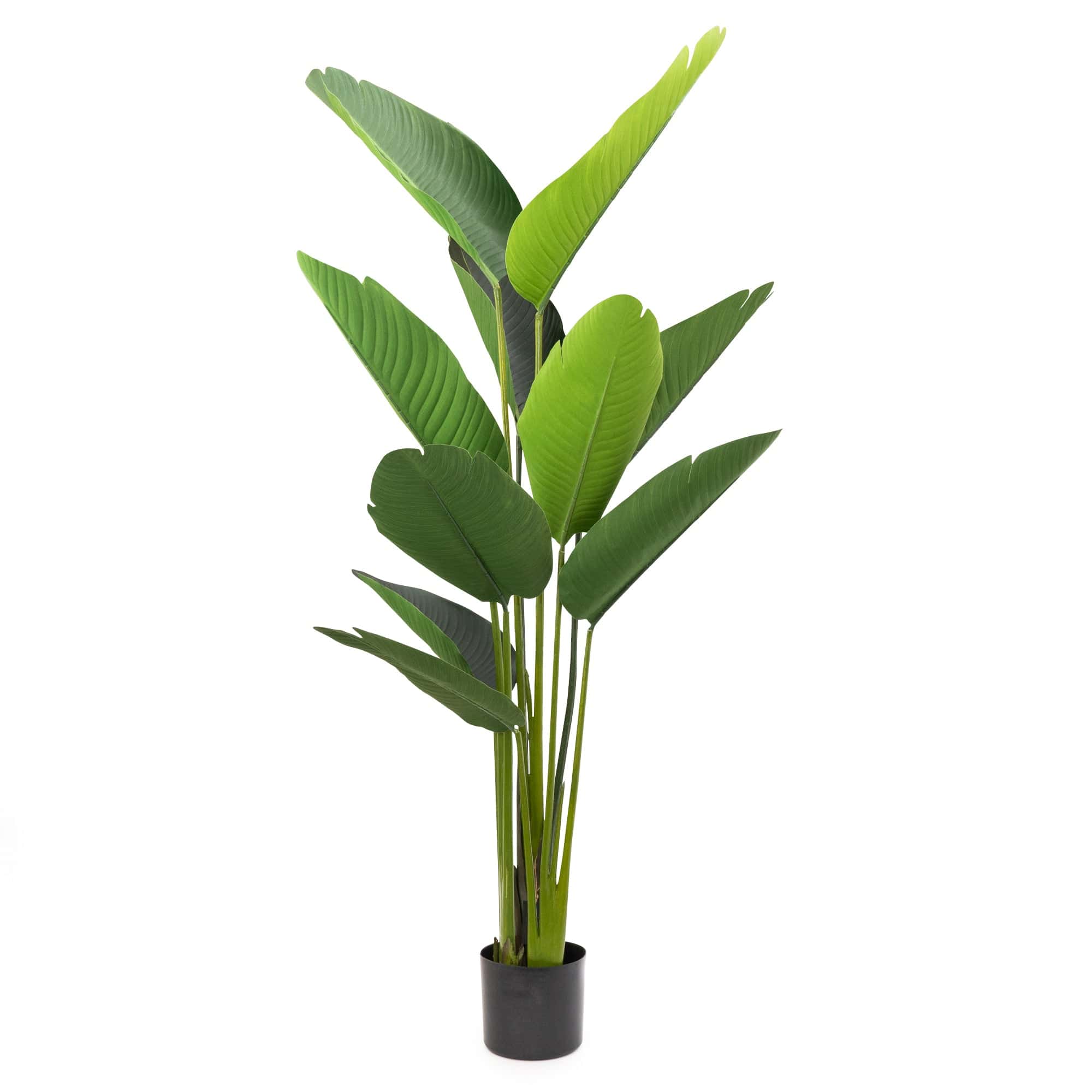 Candlelight 150CM Artificial Streliztia Plant