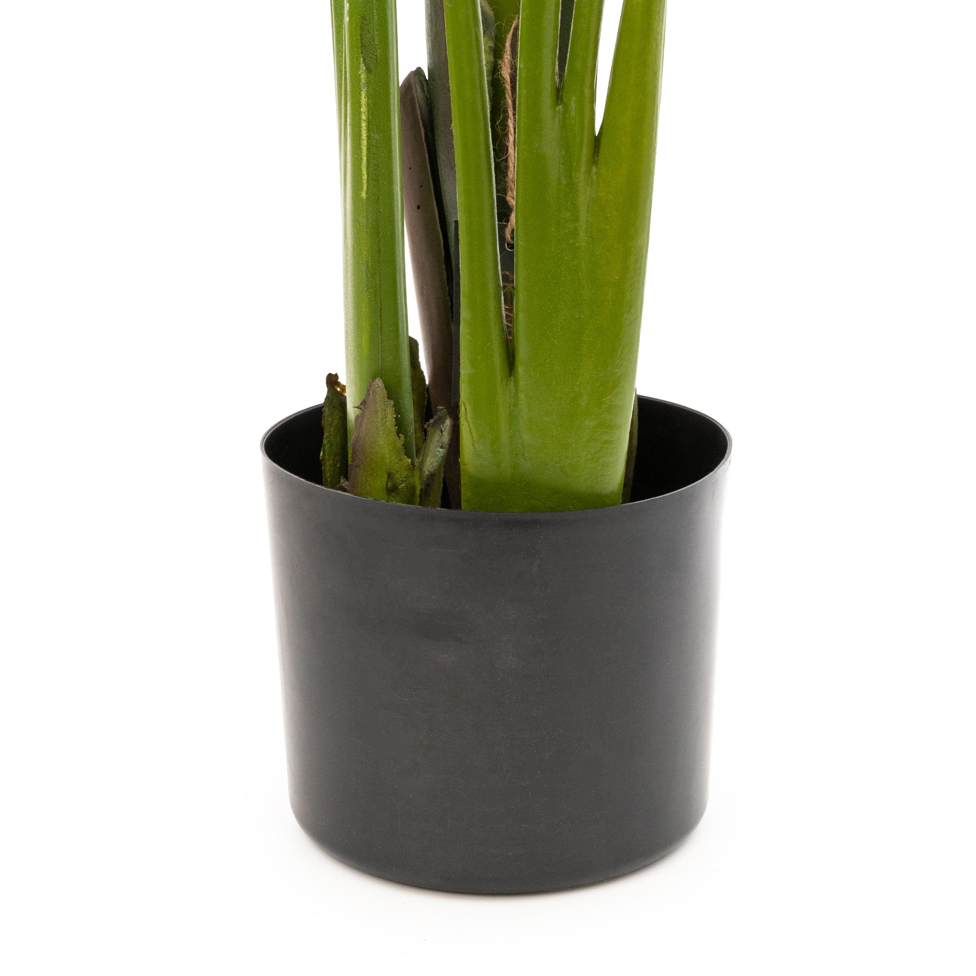 Candlelight 150CM Artificial Streliztia Plant