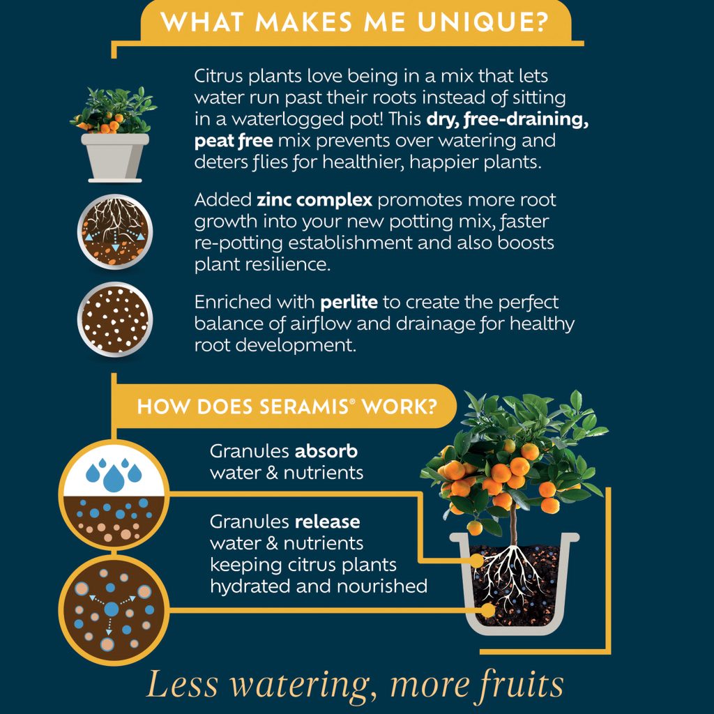 Westland Citrus Potting Mix 10L