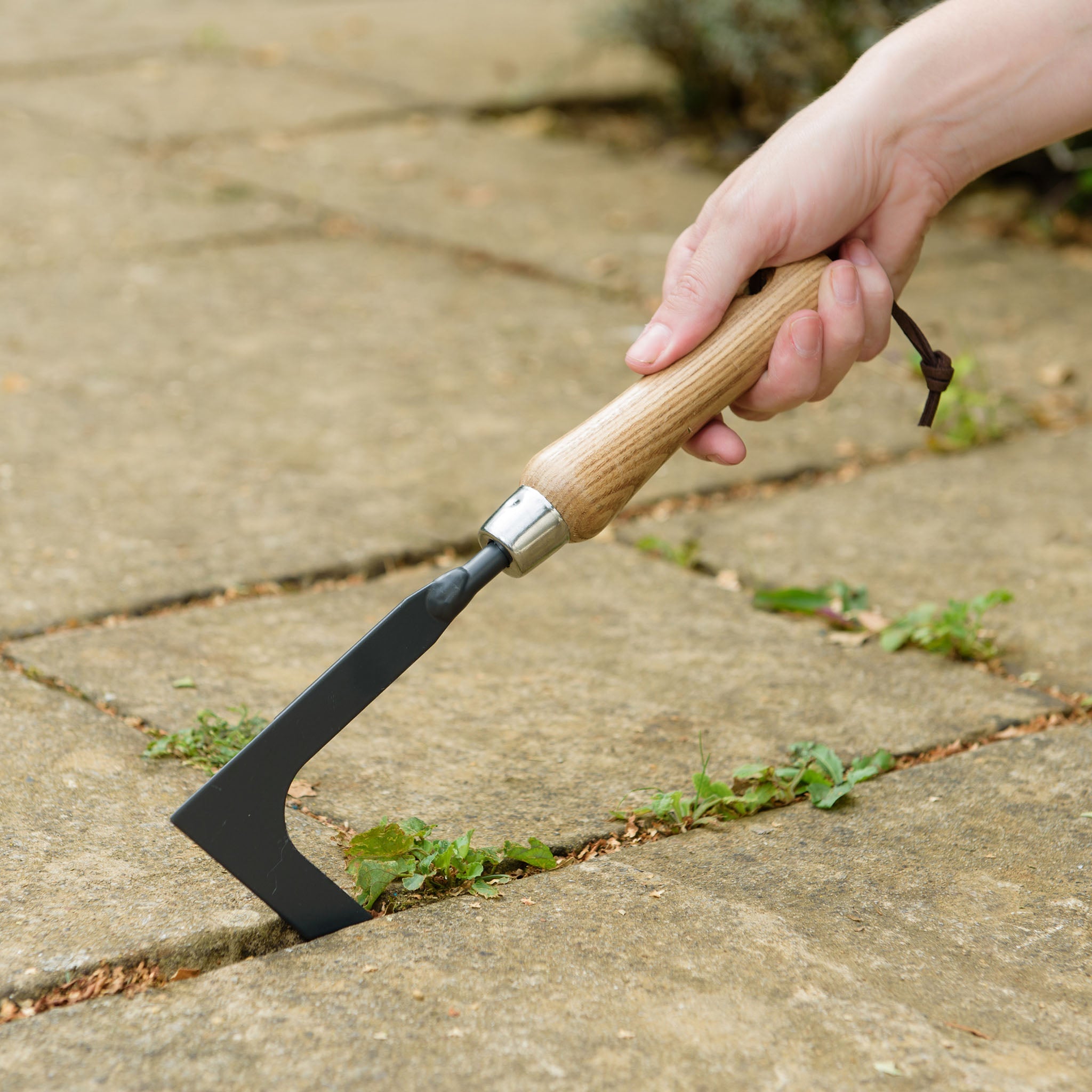 Kent & Stowe Carbon Steel Hand Weeding knife