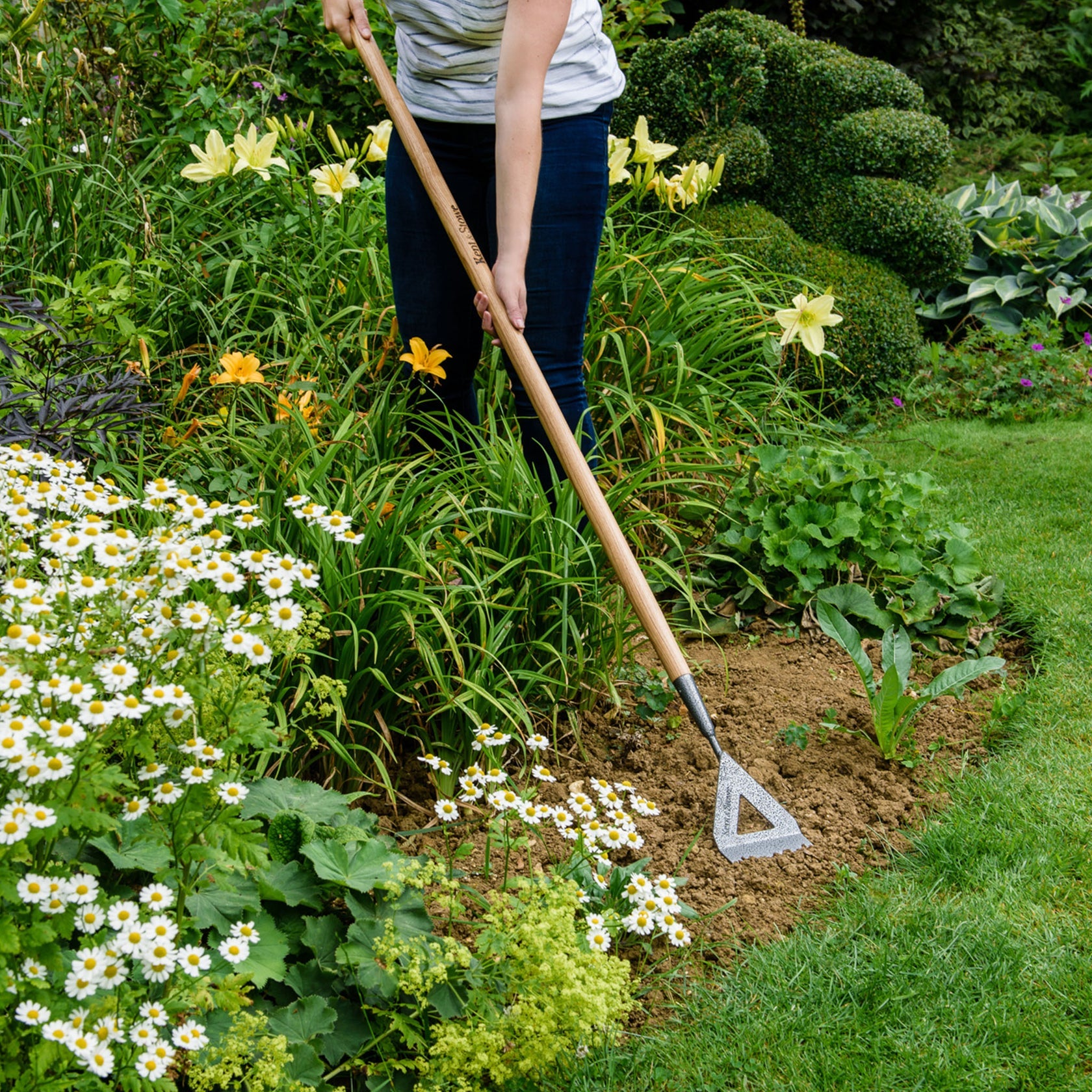Kent & Stowe Carbon Steel Long Handled Dutch Hoe