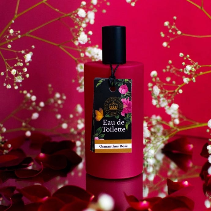 Kew Gardens Osmanthus Rose Eau de Toilette