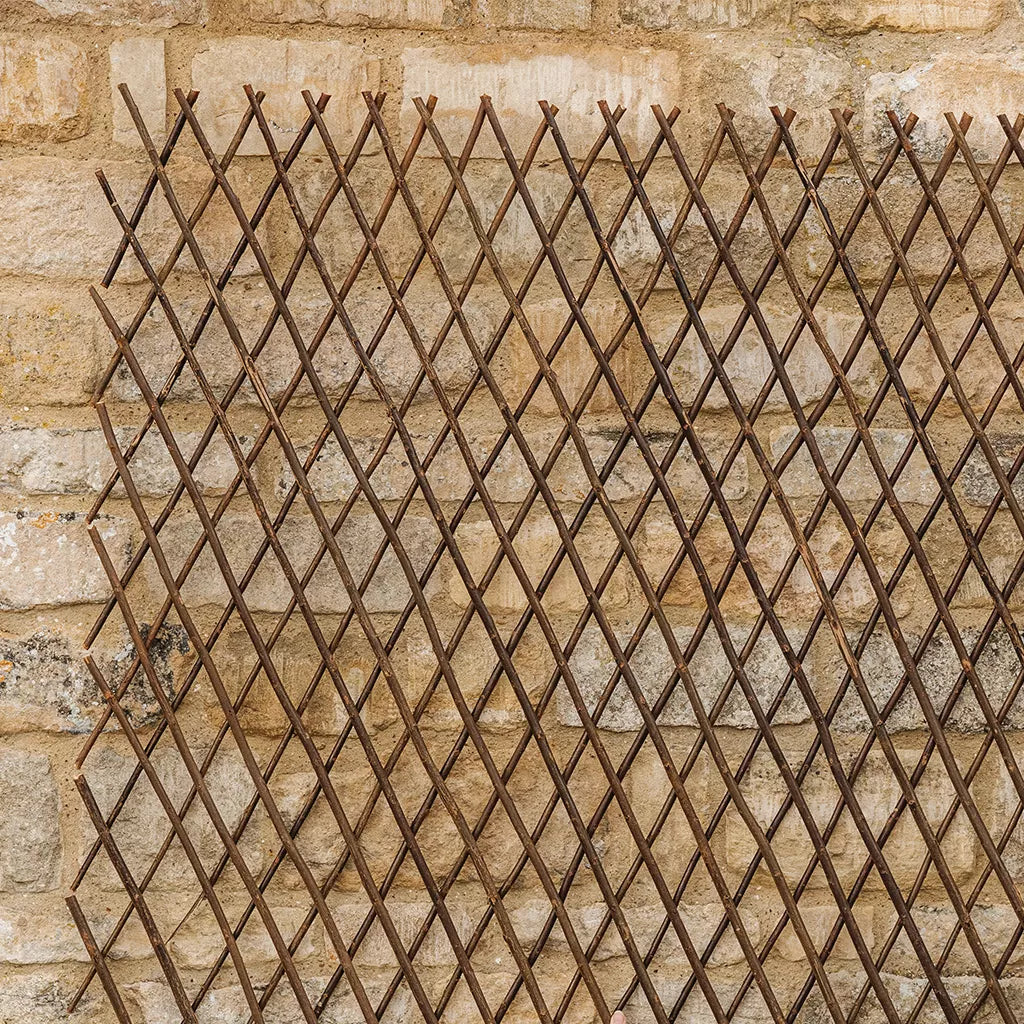 Gardman Expanding Willow Trellis