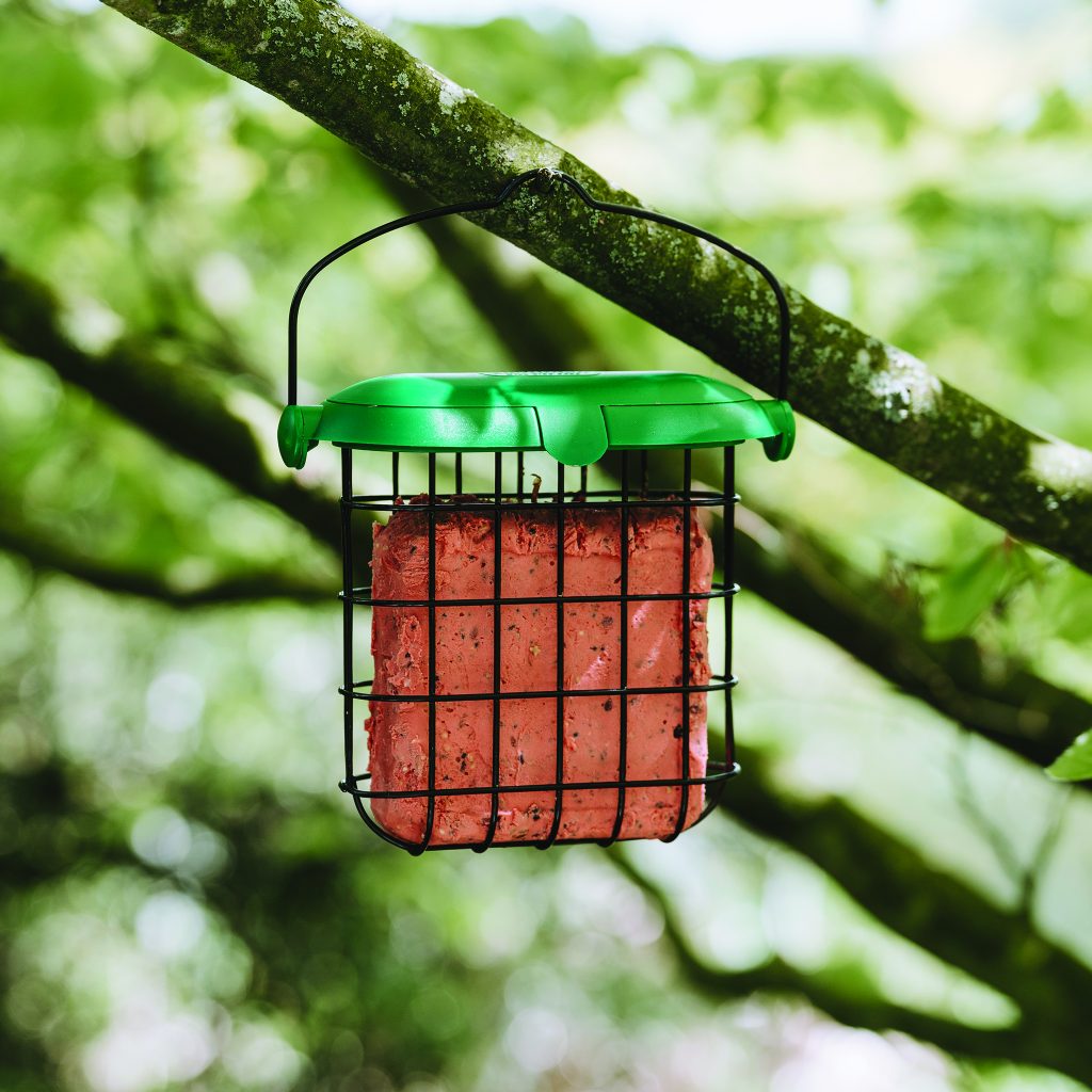 Gardman Berry Suet Feast