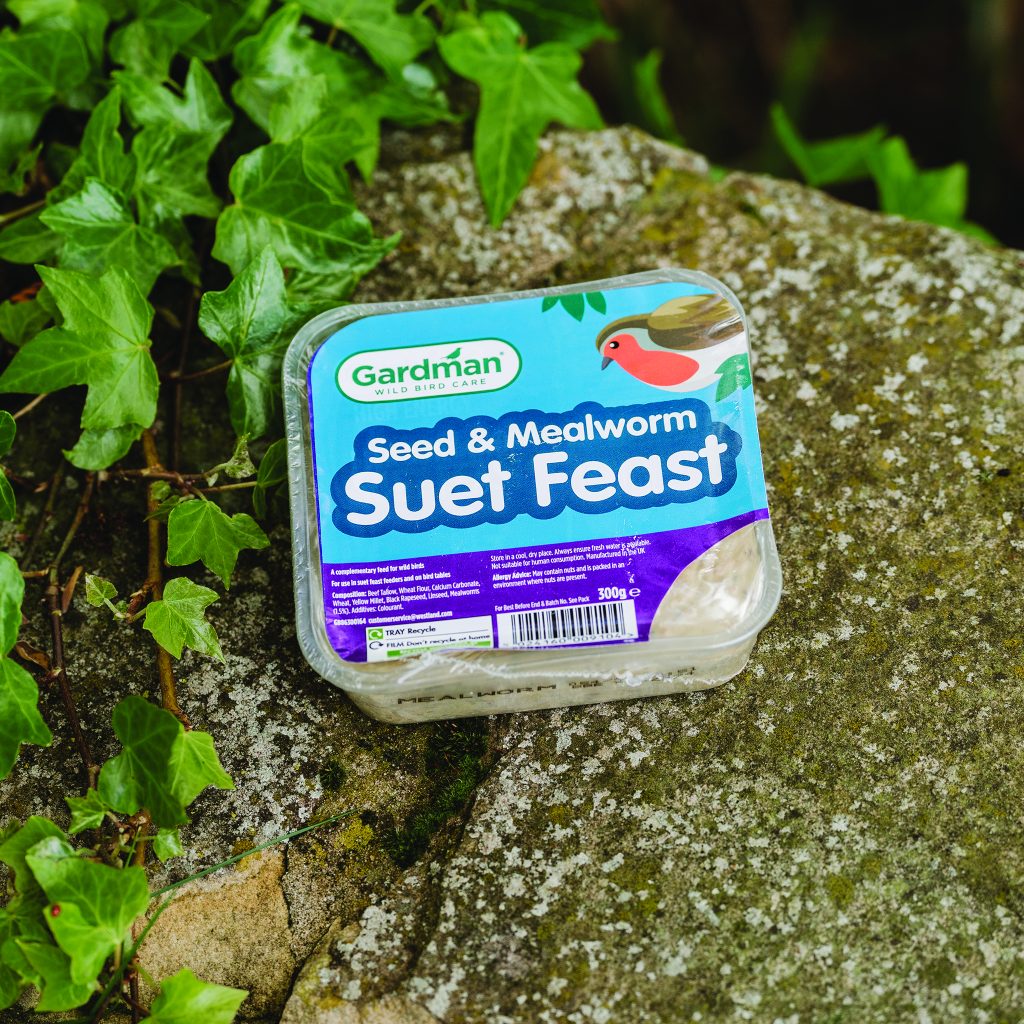 Gardman Seed and Mealworm Suet Feast