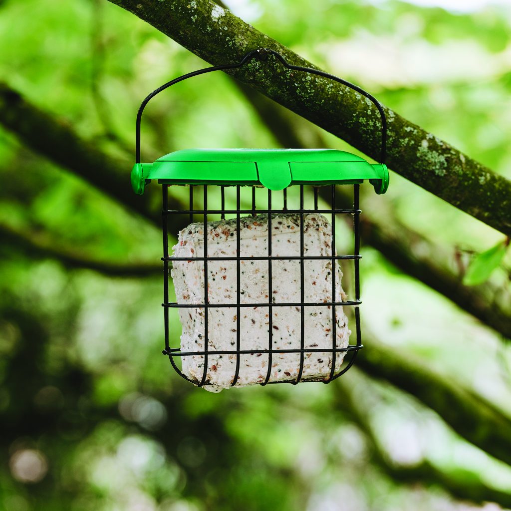 Gardman Seed and Mealworm Suet Feast
