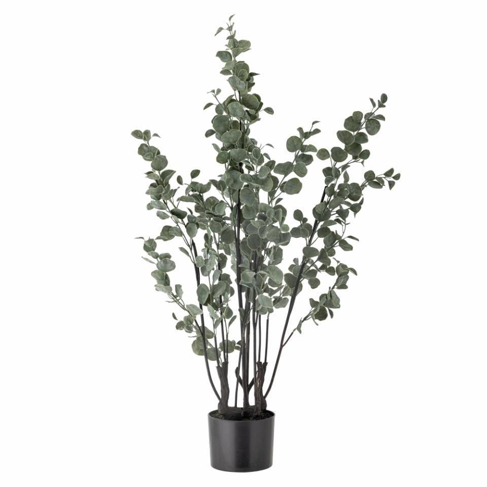 Bloomingville Eucalyptus Plant Green Artificial