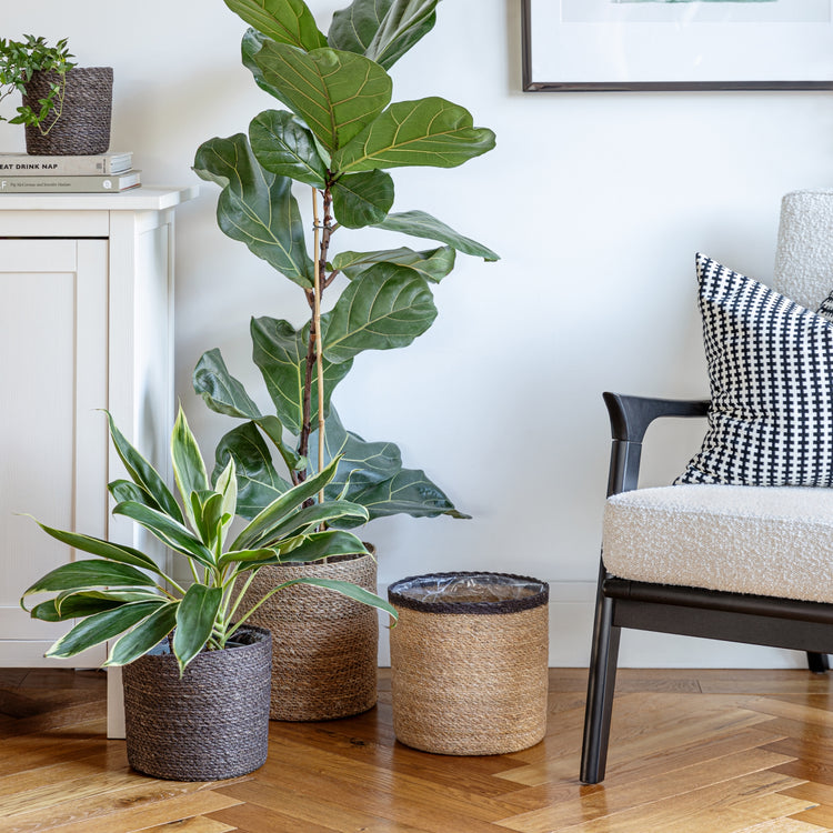 Ivyline Theo Grey Rim Basket