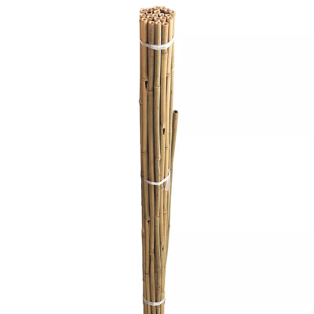 Grow It Bamboo Canes 10 Pack