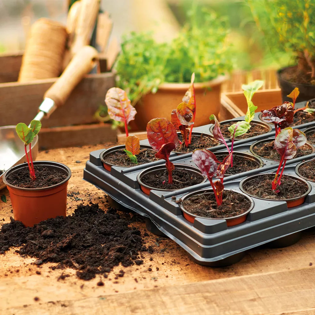 Gro-Sure Growing Tray with 18 Round Pots