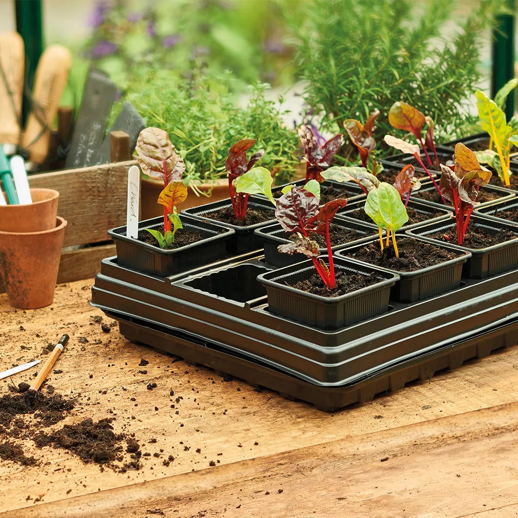 Gro-Sure Growing Tray with 18 Square Pots