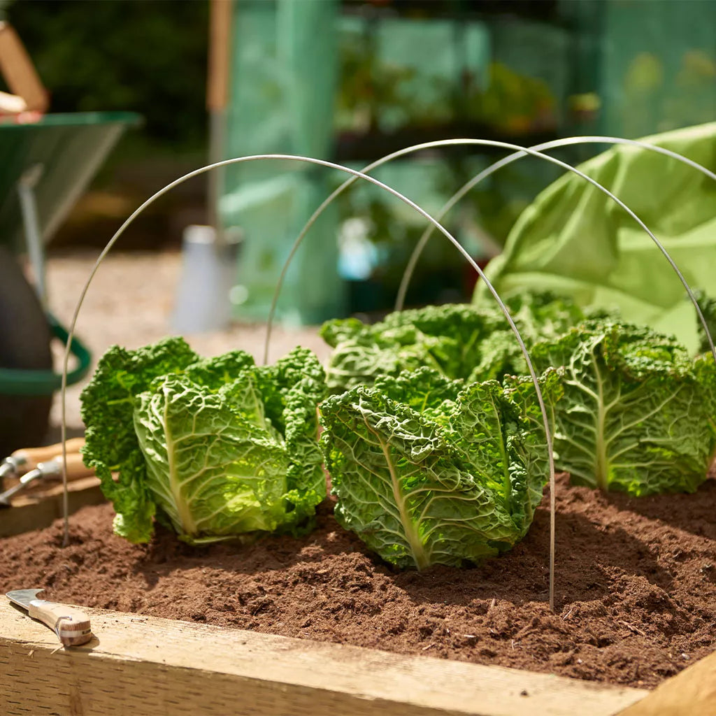 Grow It Tunnel Hoops 3pk