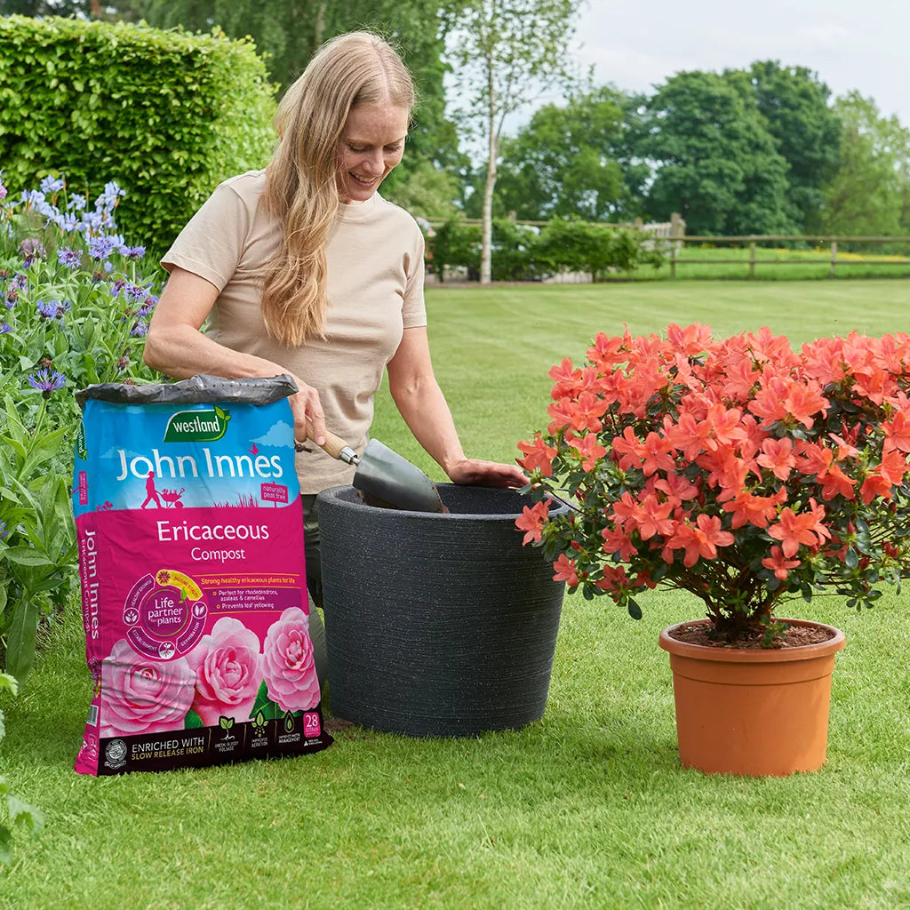Westland John Innes Peat Free Ericaceous Compost