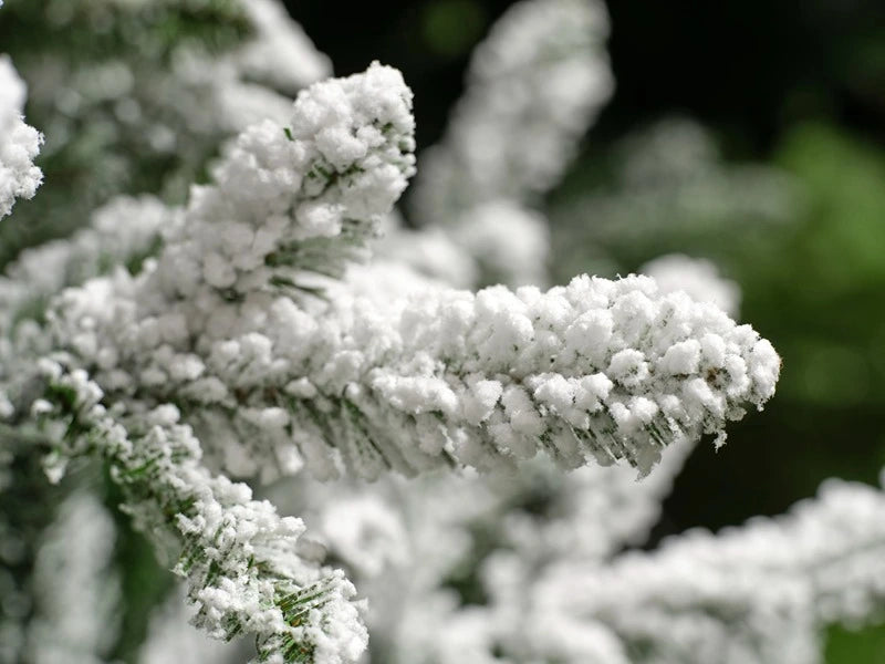 Everlands Liberty Snowy Spruce Artificial Tree