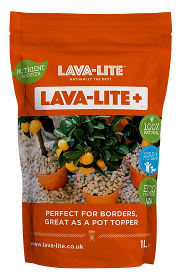 Lava Lite Pot Topper